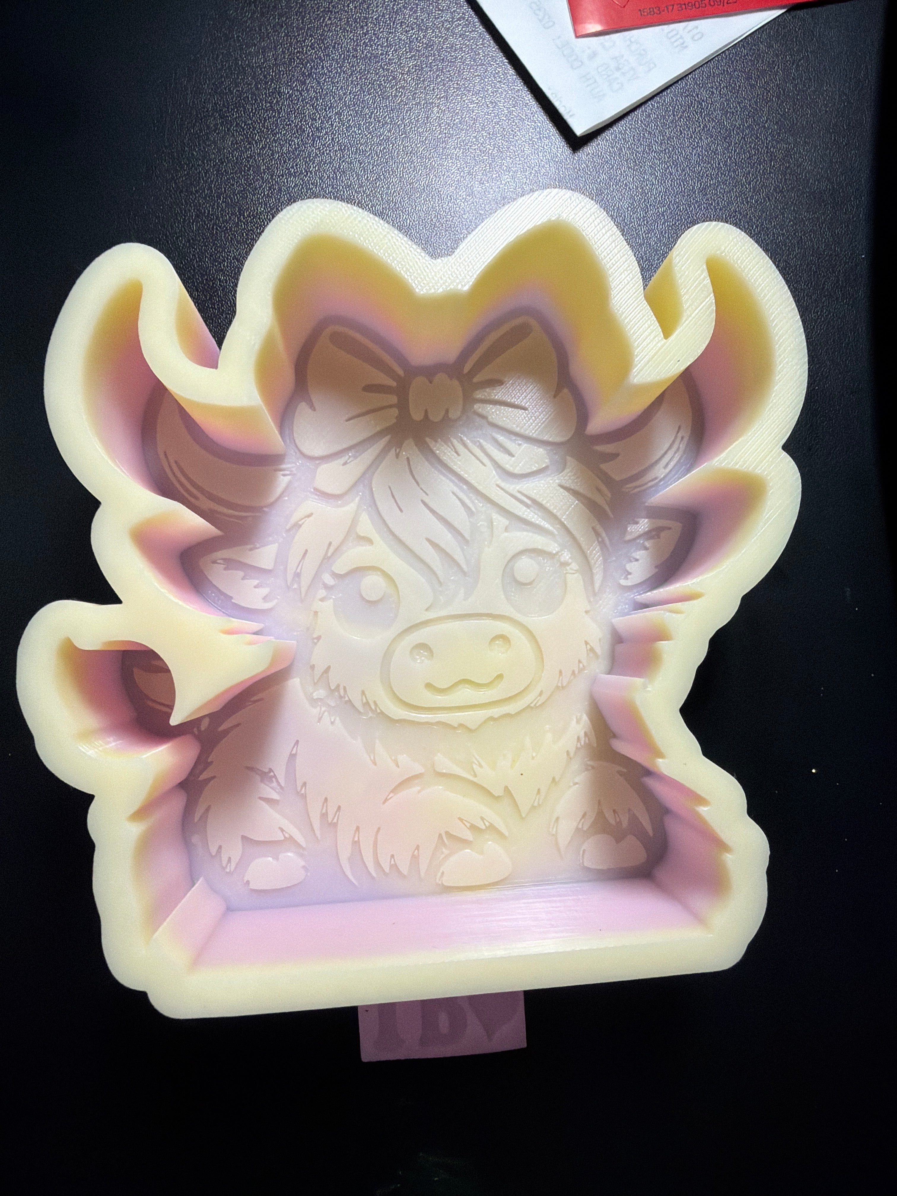 Highland Cow